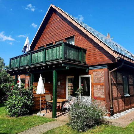 Ferienhaus Sasse Ferienwohnungen Mit Garten & Grill Molschow ภายนอก รูปภาพ