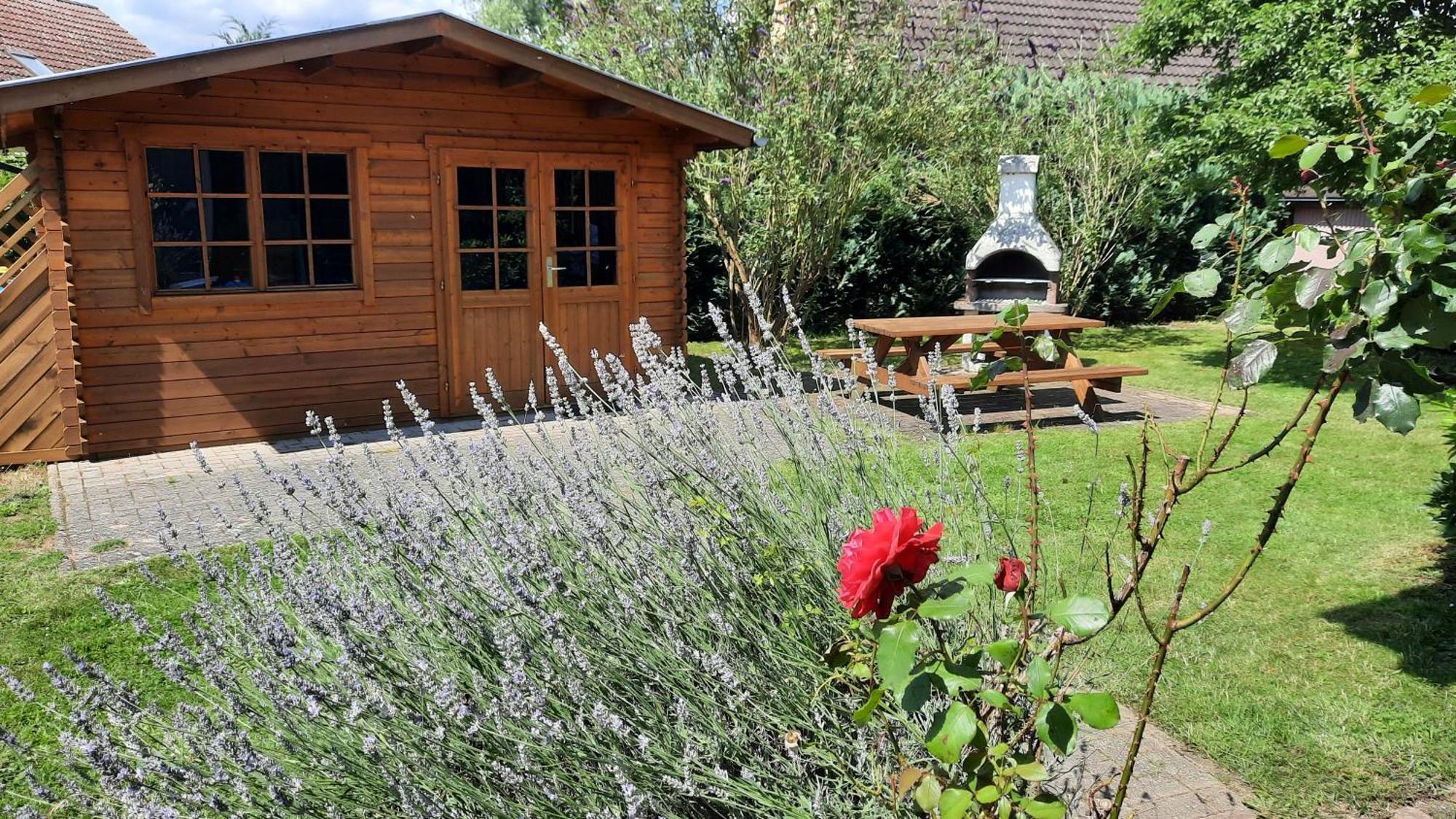 Ferienhaus Sasse Ferienwohnungen Mit Garten & Grill Molschow ภายนอก รูปภาพ